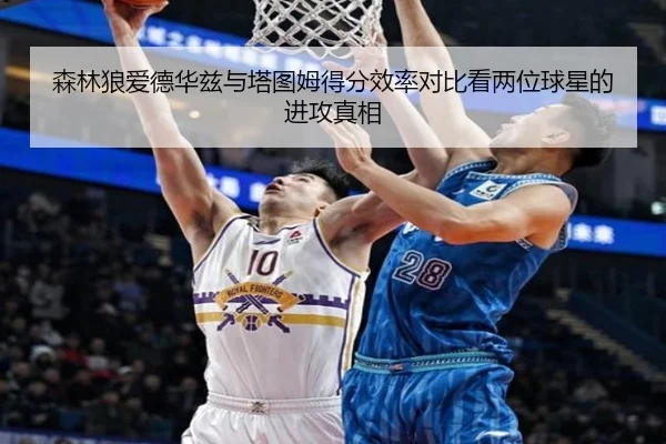 森林狼爱德华兹与塔图姆得分效率对比看两位球星的进攻真相